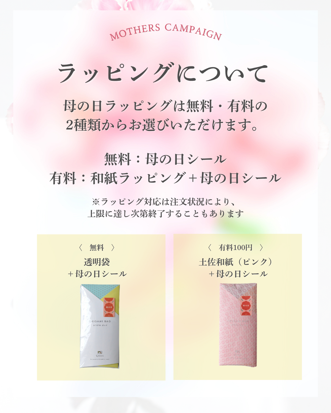 【母の日仕様】保冷バッグ大