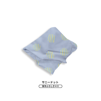 【予約】歴代の人気カラーが限定復刻！ 保冷ふろしき40 | 12月下旬お届け