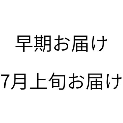 7月早期お届けオプション：あんさんコラボ保冷バッグ小　ミルクティ（チェックホワイト）