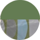Daily (Green) | Late September Delivery